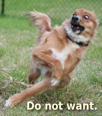 image: do-not-want-dog